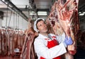 Butcher shop worker hanging slabs of raw beef in cold storage Royalty Free Stock Photo