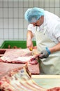 Butcher works in a slaughterhouse and cuts freshly slaughtered m