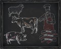 Butchering beef diagram, pork, lamb and cook Royalty Free Stock Photo