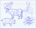 Butchering beef diagram, pork, lamb and cook Royalty Free Stock Photo