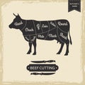 Butchers library vintage page - beef cutting vector poster design Royalty Free Stock Photo