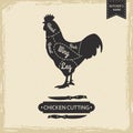Butchers library vintage page - chicken cutting vector poster design