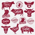 13 butchery logo, label, emblem, poster. Farm animals