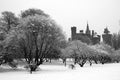 Bute park, Cardiff Royalty Free Stock Photo