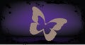 Buterfly on grunge background