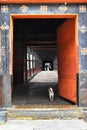 Buthan door antique Bridge dog