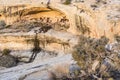 Butler Wash Ruins and Juniper Tree Royalty Free Stock Photo