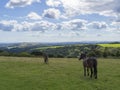 Butser Hill ,Hampshire Royalty Free Stock Photo