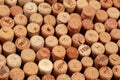 Butt ends of wine corks background - Image Royalty Free Stock Photo