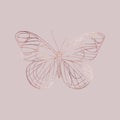 Buttefly. Rose gold texture. Elegant illustration