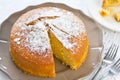 Butter cake Royalty Free Stock Photo