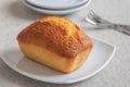 Butter cake loaf or pound cake on plate