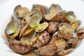 Butter clams