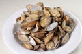 Butter clams