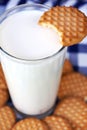 Butter cookies with milk Royalty Free Stock Photo