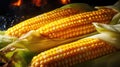 butter corn on cob Royalty Free Stock Photo