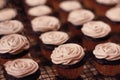 Butter cream frosted cupcakes on rack - ready for party / celebration