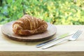 Butter croissant on the plate Royalty Free Stock Photo