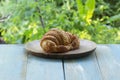 Butter croissant on the plate Royalty Free Stock Photo