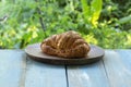 Butter croissant on the plate Royalty Free Stock Photo