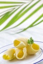 Butter curl or roll, on plate front view.greenery in the background Royalty Free Stock Photo