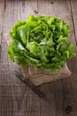 Butter lettuce on a burlap cloth over rustic background Royalty Free Stock Photo