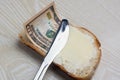 Butter and money on a slice of bread Royalty Free Stock Photo