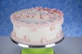buttercream decorated homebaked layered cake Royalty Free Stock Photo