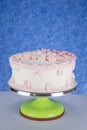 buttercream decorated homebaked layered cake Royalty Free Stock Photo