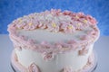 buttercream decorated homebaked layered cake Royalty Free Stock Photo