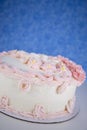 buttercream decorated homebaked layered cake Royalty Free Stock Photo