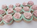 Buttercream vintage rose cupcakes Royalty Free Stock Photo