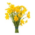 Buttercup Flower Posy Royalty Free Stock Photo