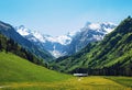 Buttercup meadow and farmstead, trettach valley oberstdorf Royalty Free Stock Photo