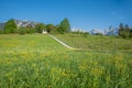 Buttercup meadow and footpath to pilgrimage chapel Maria Rast, KrÃÂ¼n