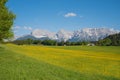 Buttercup meadow in front of karwendel mountains, upper bavaria Royalty Free Stock Photo