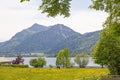 Buttercup meadow with grazing horses, Brecherspitze mountain and lake Schliersee Royalty Free Stock Photo