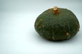 Buttercup pumpkin or squash isolated. Seasonal ripe fruit with a lot of copy space.