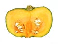 Buttercup Squash Flesh Seeds Royalty Free Stock Photo