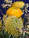 Buttercups and protea in a bouquet on blue background,  fine art still life natural floral color close up of a bunch of flowers Royalty Free Stock Photo