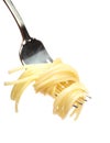 Buttered pasta on a fork Royalty Free Stock Photo