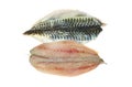 Butterflied mackerel fillets Royalty Free Stock Photo