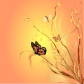 Butterflies Royalty Free Stock Photo