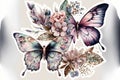 Butterflies art hand drawn painting style on white background Royalty Free Stock Photo