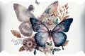 Butterflies art hand drawn painting style on white background Royalty Free Stock Photo