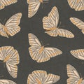 Butterflies on a black background. Seamless pattern with motley butterflies. Hand drawn illustration Royalty Free Stock Photo
