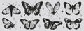 Butterflies of black wings in the style of grunge stamp and organic shapes. Y2k aesthetic, tattoo silhouette, hand drawn