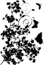 Butterflies and cherry tree flowers silhouette Royalty Free Stock Photo