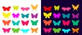 Butterflies collection with different colorful elements