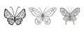 Butterflies collection, illustration and drawing, engraving, ink, line art. Vector drawing in line style. Design elements for a Royalty Free Stock Photo